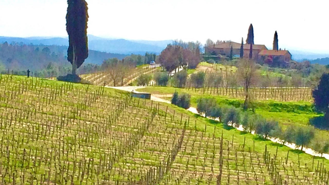 Photo of Others in Castelnuovo Berardenga