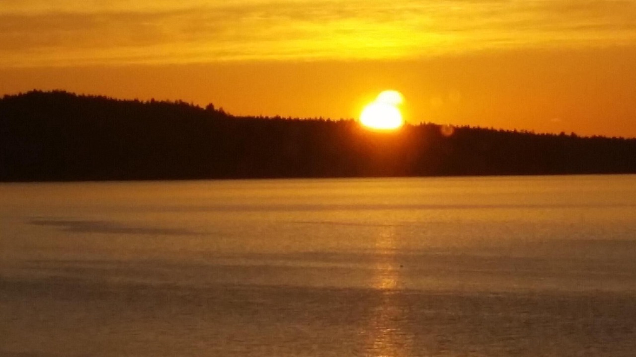 Photo of Others in Chemainus