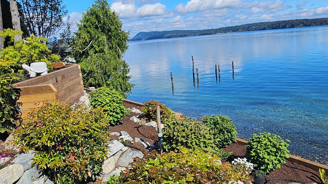 Photo of Outdoor in Chemainus