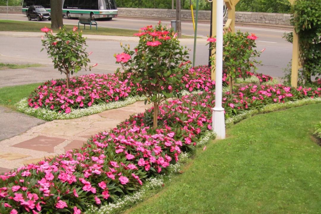 Photo of Outdoor in Niagara Falls