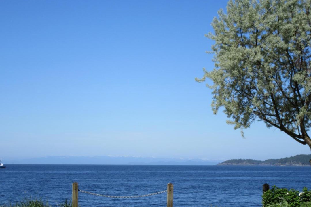 Photo of Others in Davis Bay