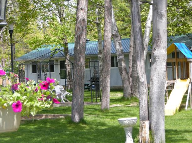 Photo of Others in Wasaga Beach