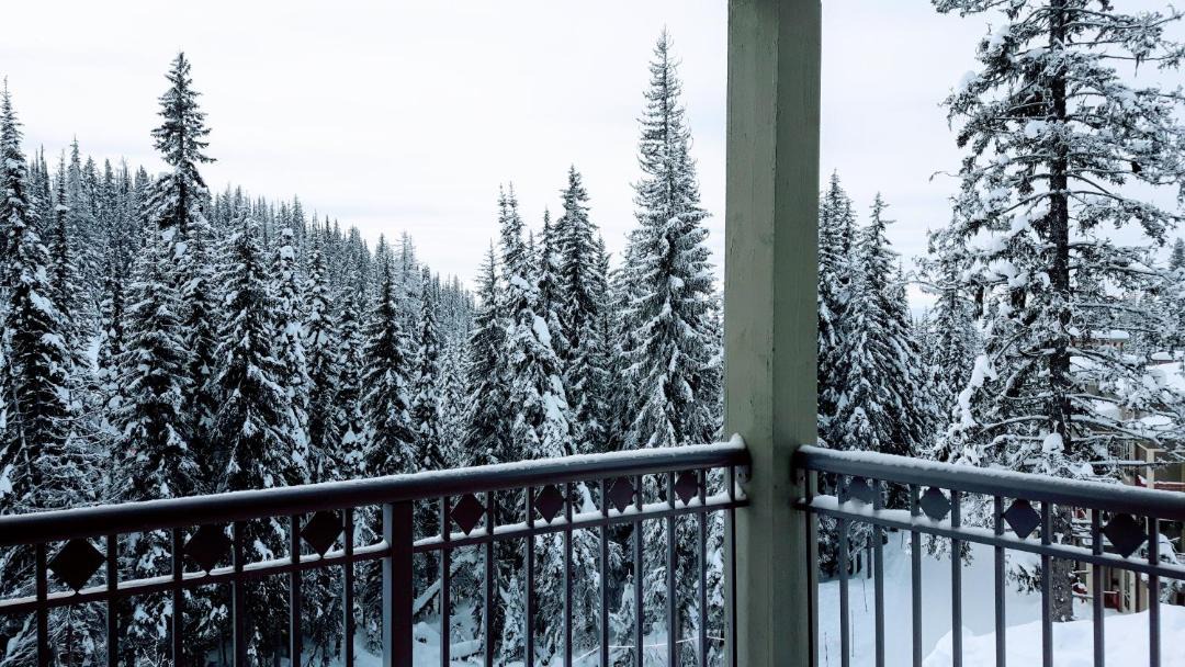 Photo of Buildings in Silver Star Mountain
