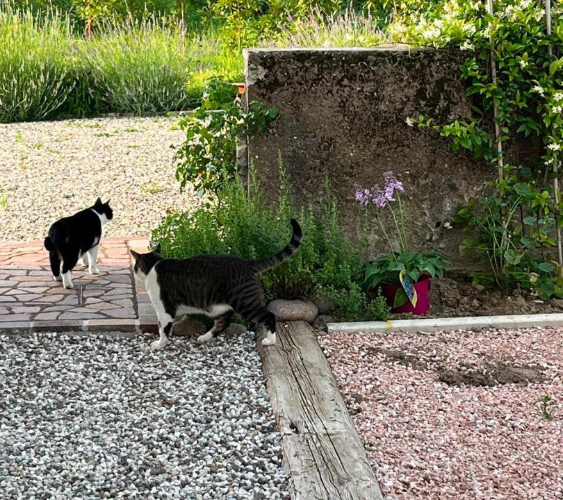 Photo of Others in Martignano