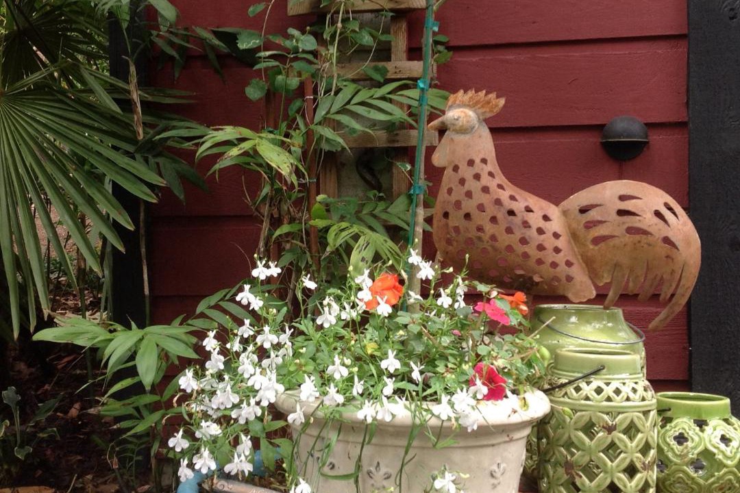 Photo of Others in Salt Spring Island