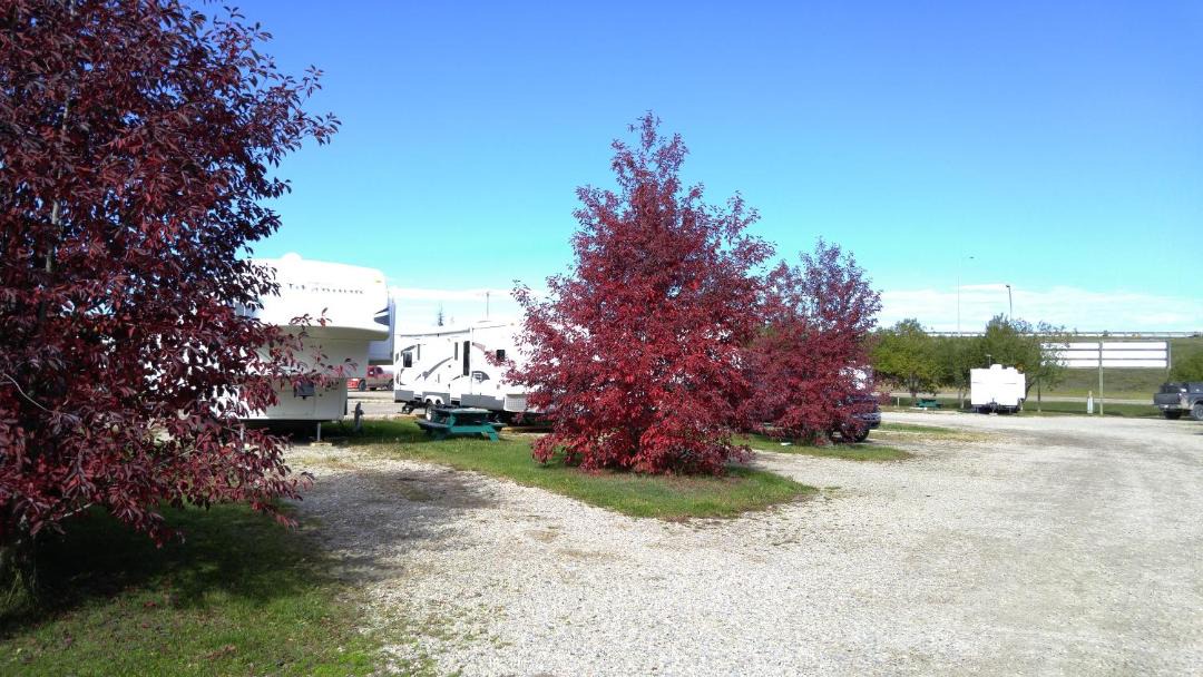 Photo of Buildings in Edson