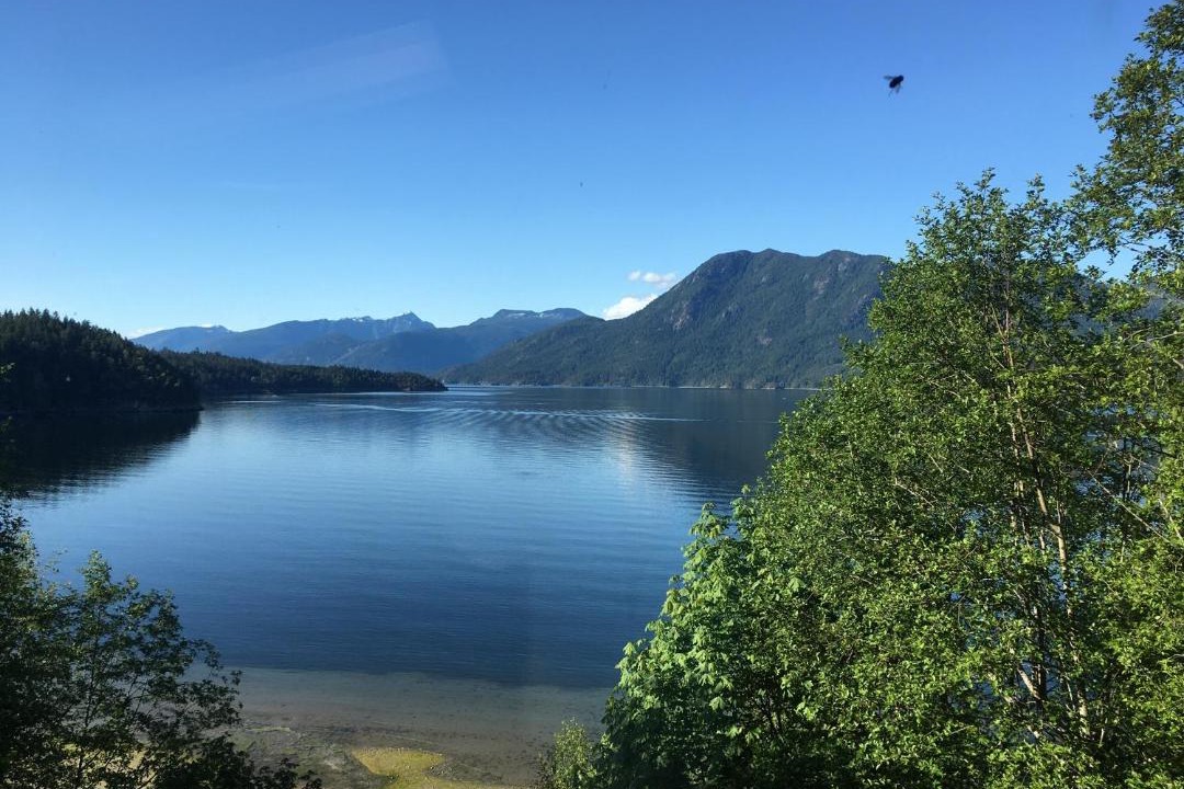 Photo of Others in West Porpoise Bay