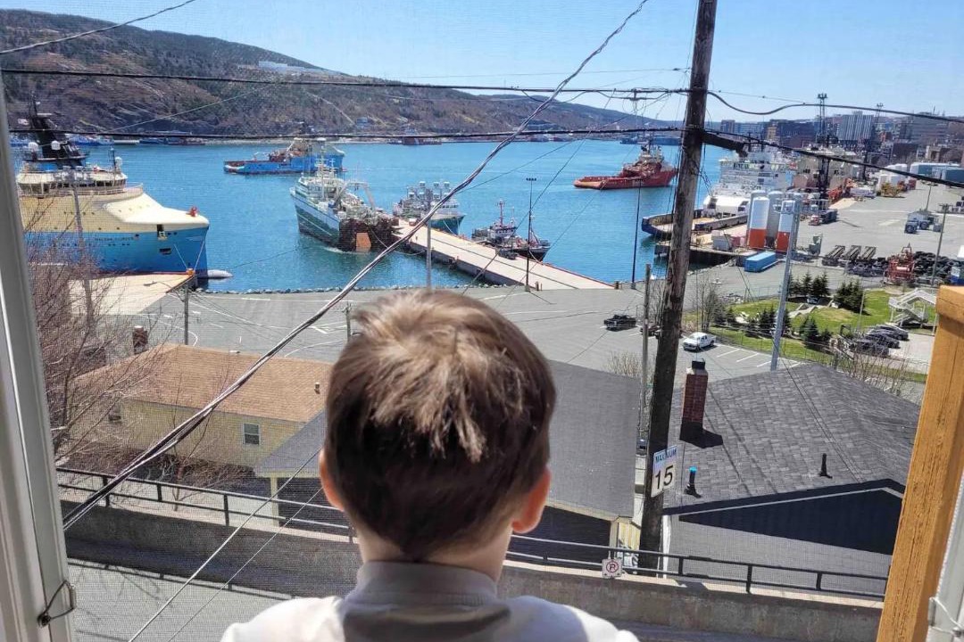 Photo of Others in Downtown St. John's