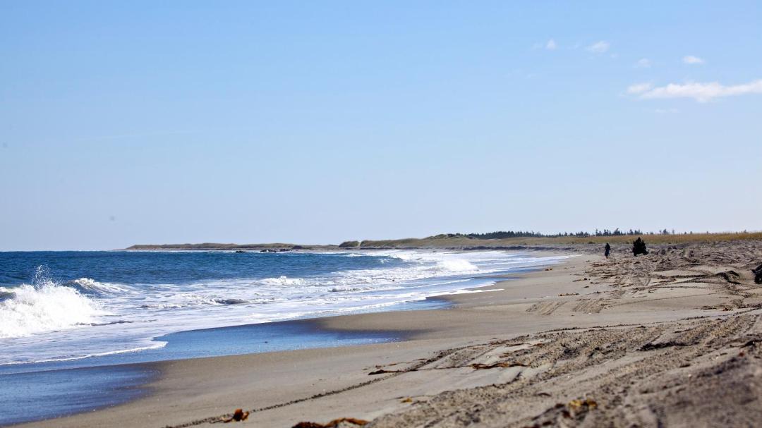 Photo of Outdoor in Musgrave Harbour