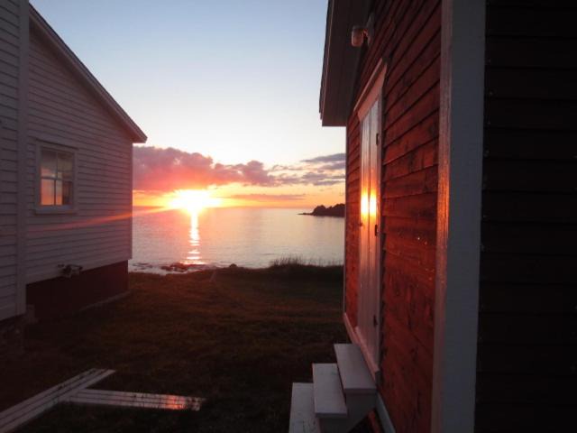 Photo of Others in Twillingate