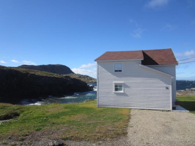 Photo of Others in Fogo