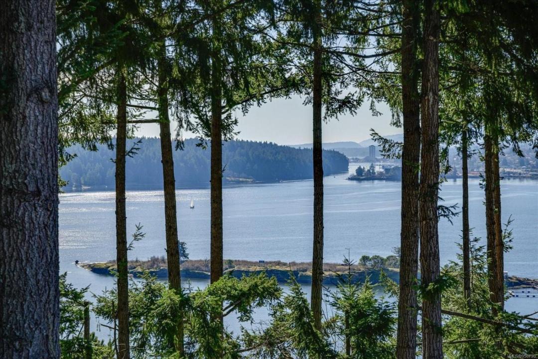 Photo of Others in Departure Bay