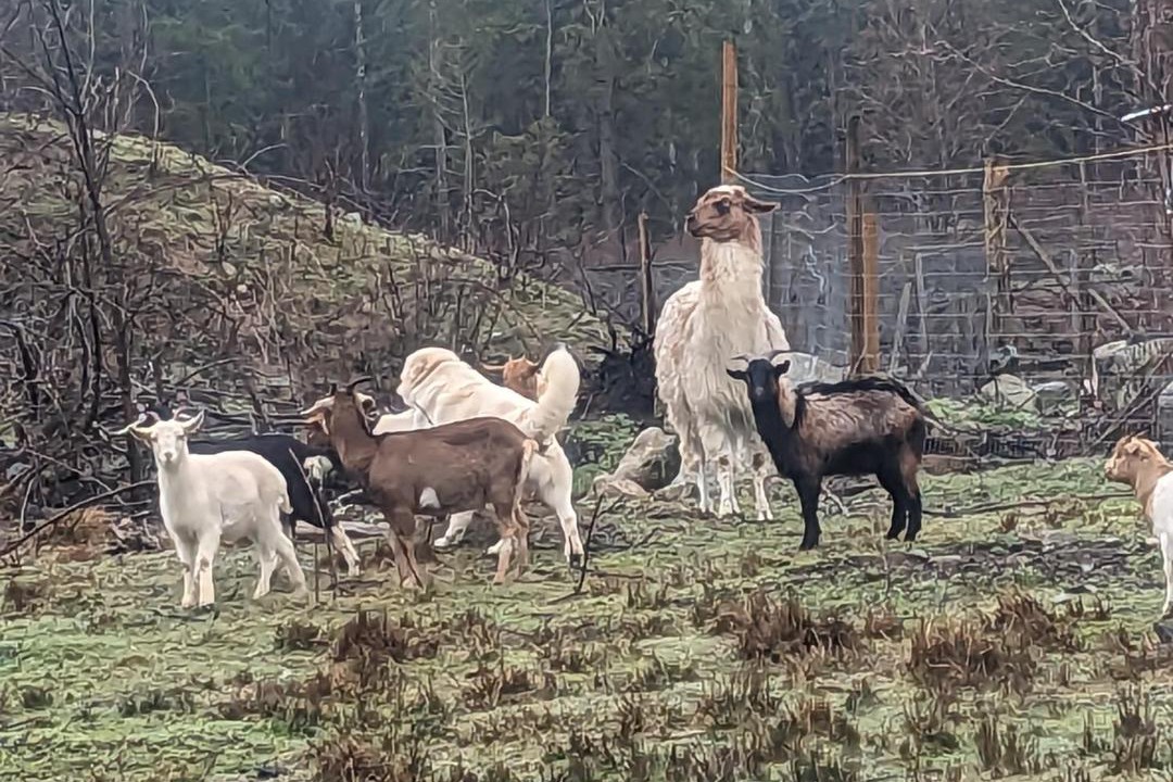Photo of Others in Brew Bay