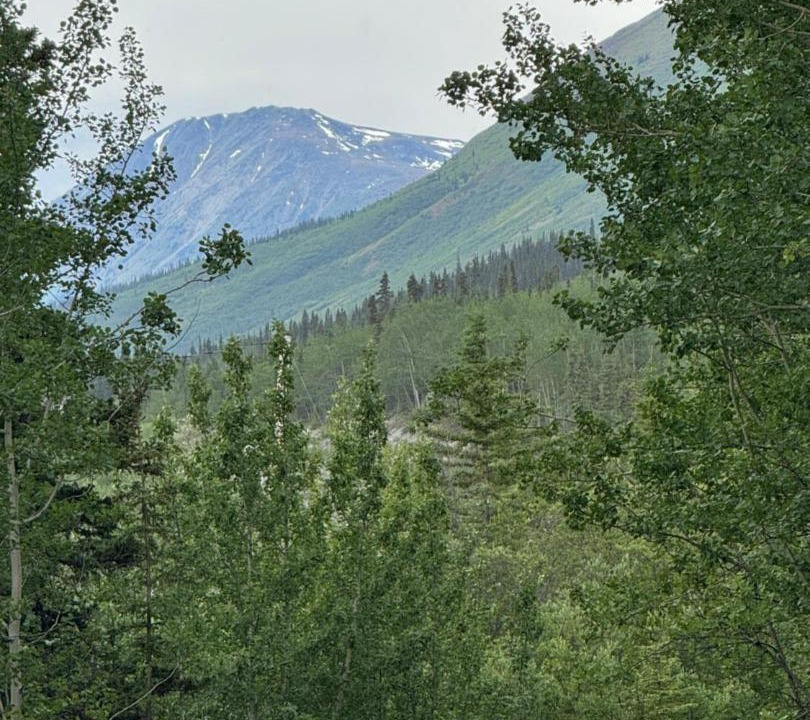 Photo of Others in Yukon