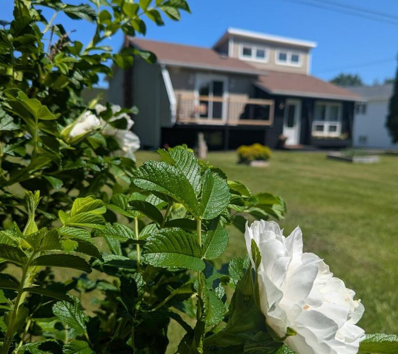 Photo of Outdoor in Terra Nova