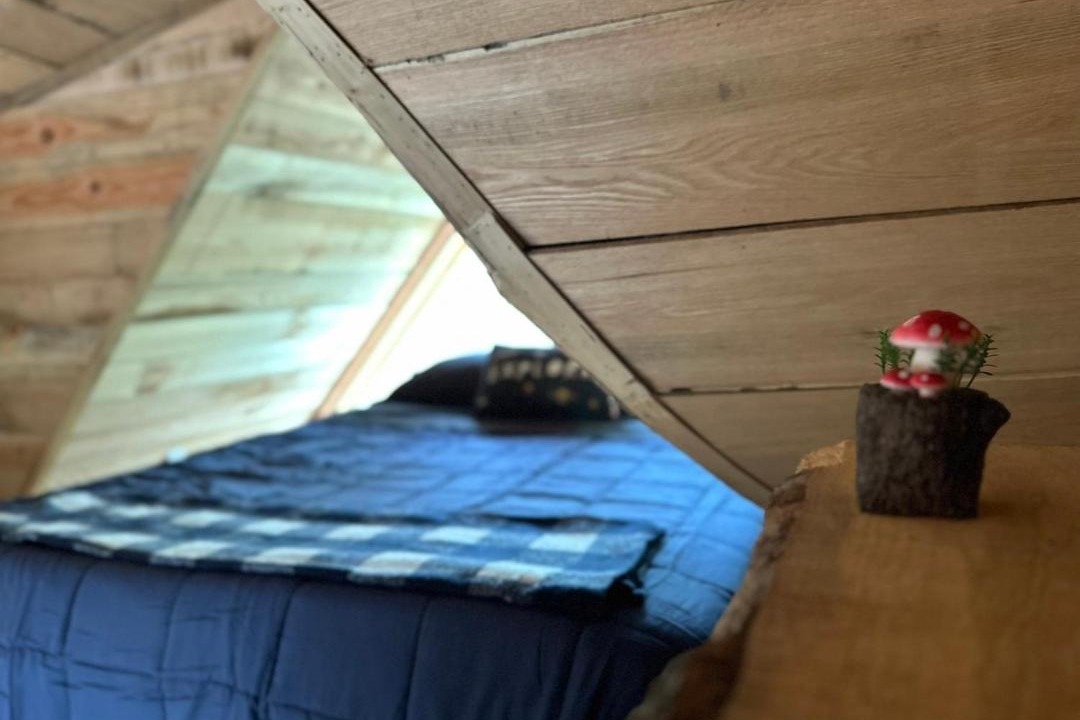 Photo of Bedroom in Langton