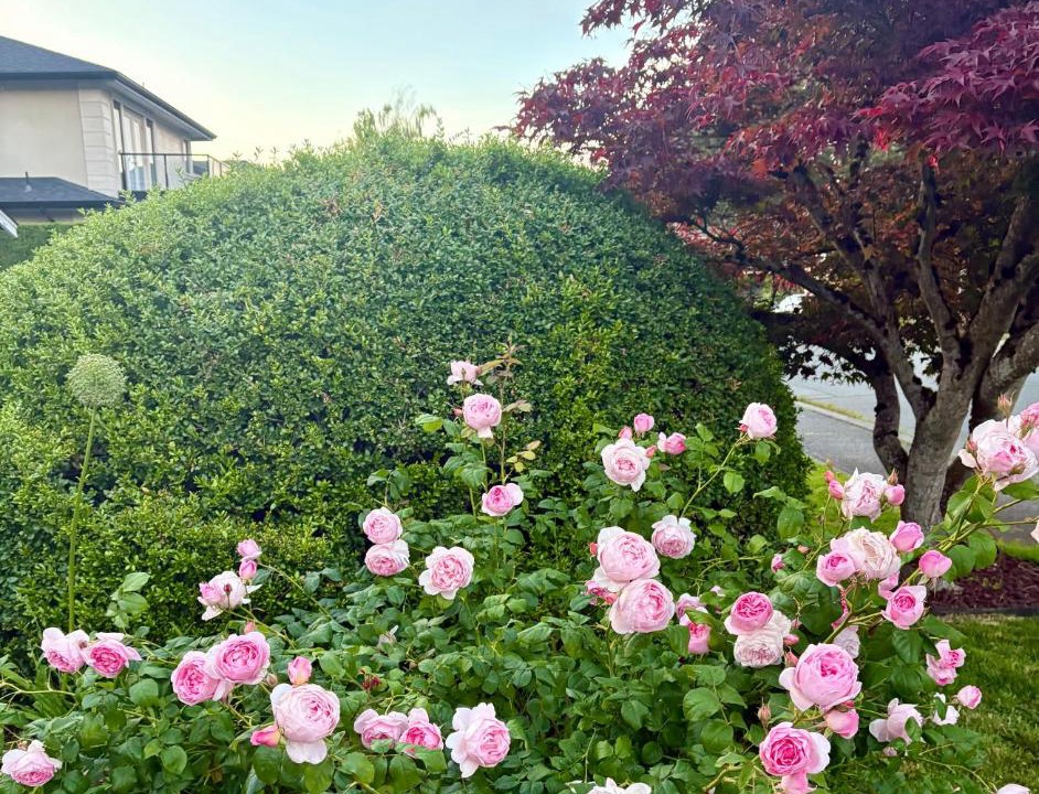 Photo of Outdoor in Richmond