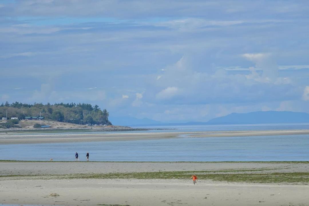 Photo of Others in Comox