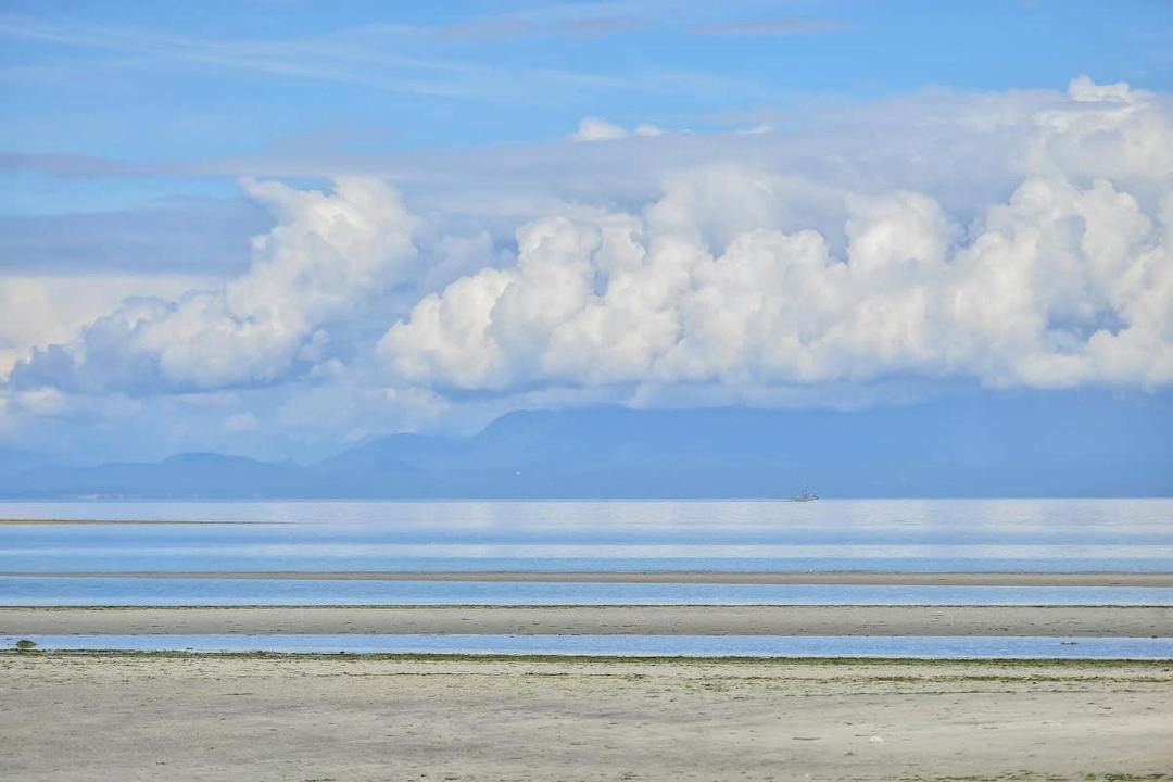 Photo of Others in Comox