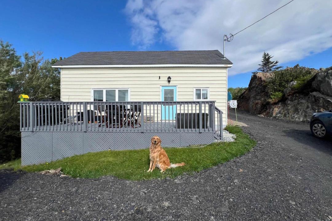 Photo of Others in Twillingate
