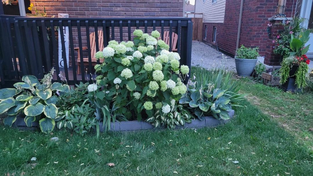 Photo of Outdoor in Walkerville