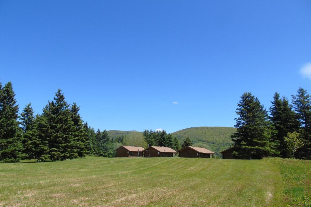 Photo of Others in Margaree Forks