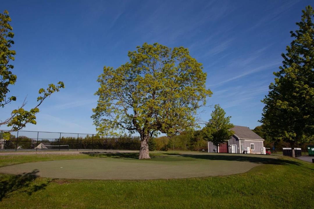 Photo of Others in Cherry Valley