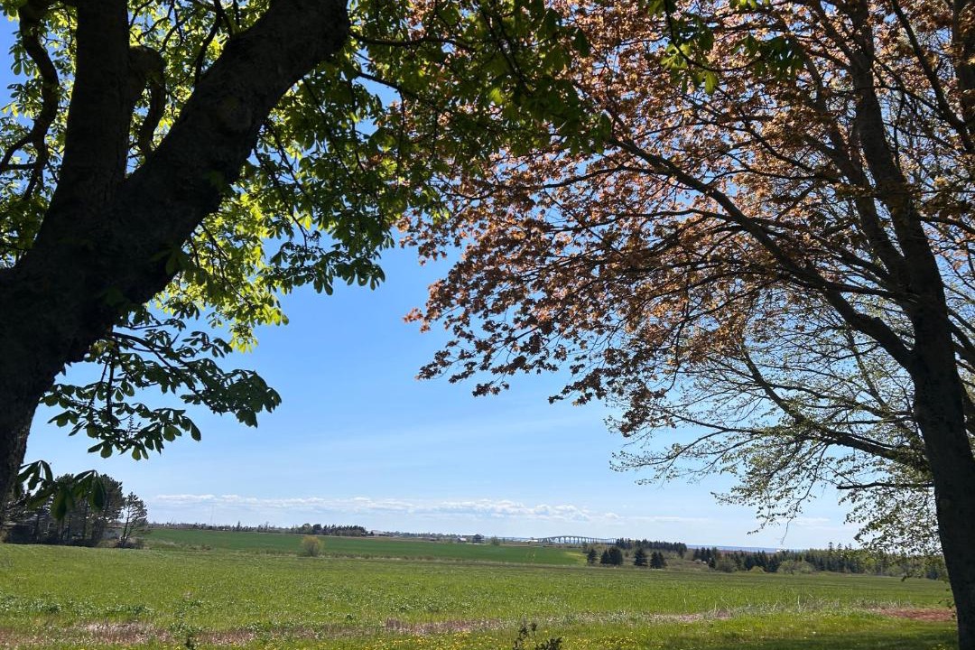 Photo of Others in Borden-Carleton