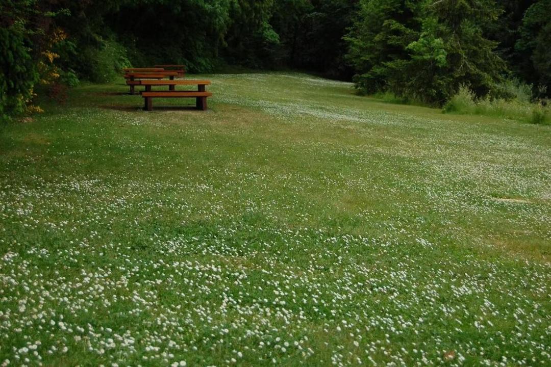 Photo of Outdoor in Bamberton