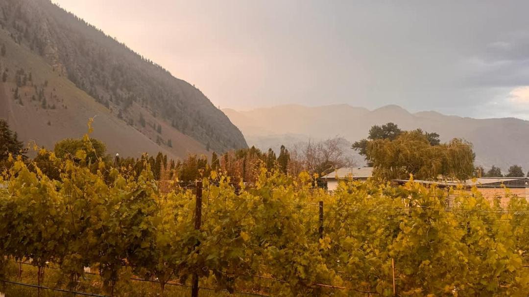 Photo of Others in Okanagan-Similkameen