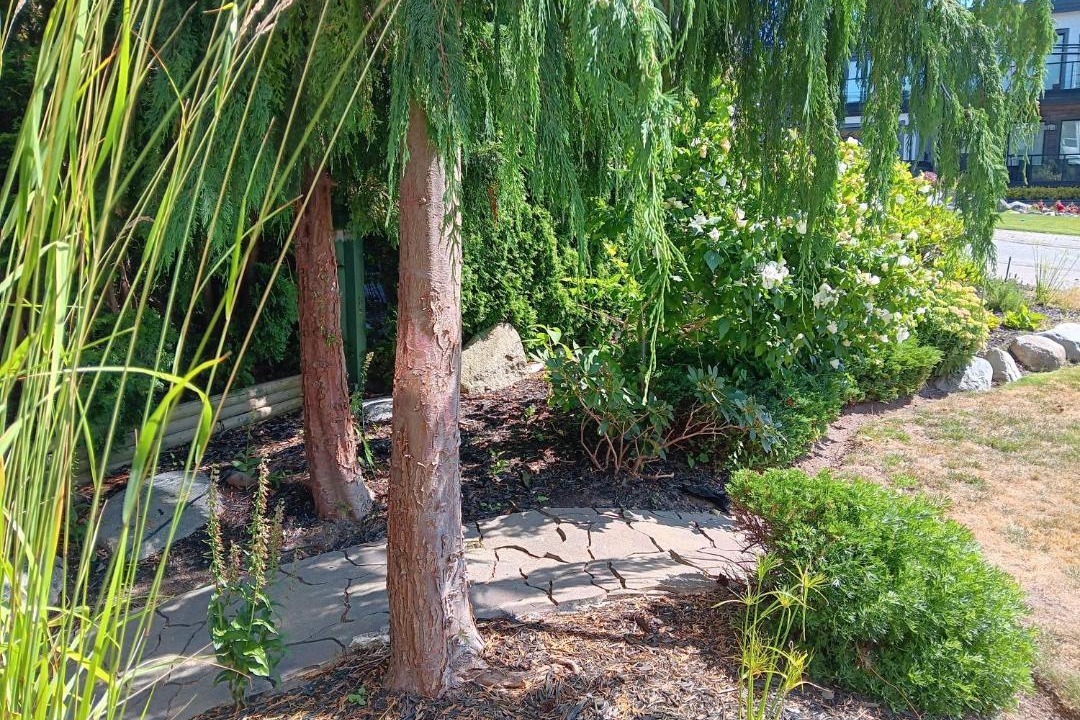 Photo of Outdoor in White Rock