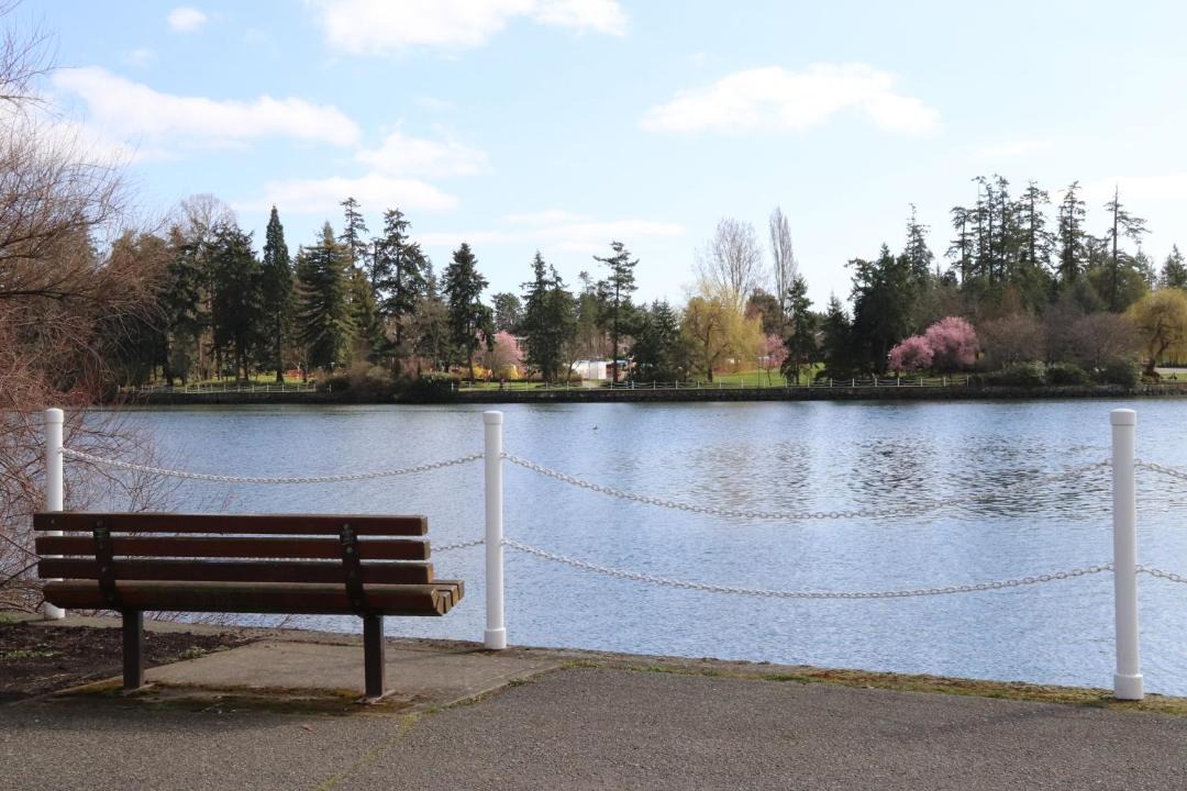 Photo of Others in Gorge -Tillicum Area