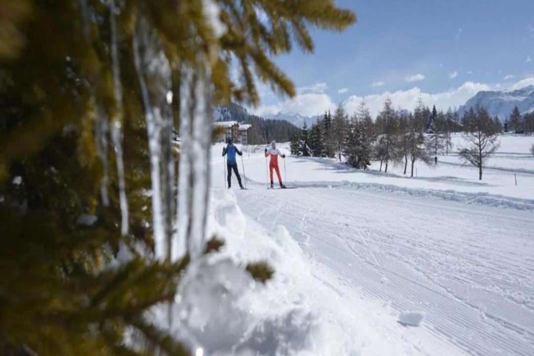 Photo of Others in Fiesch