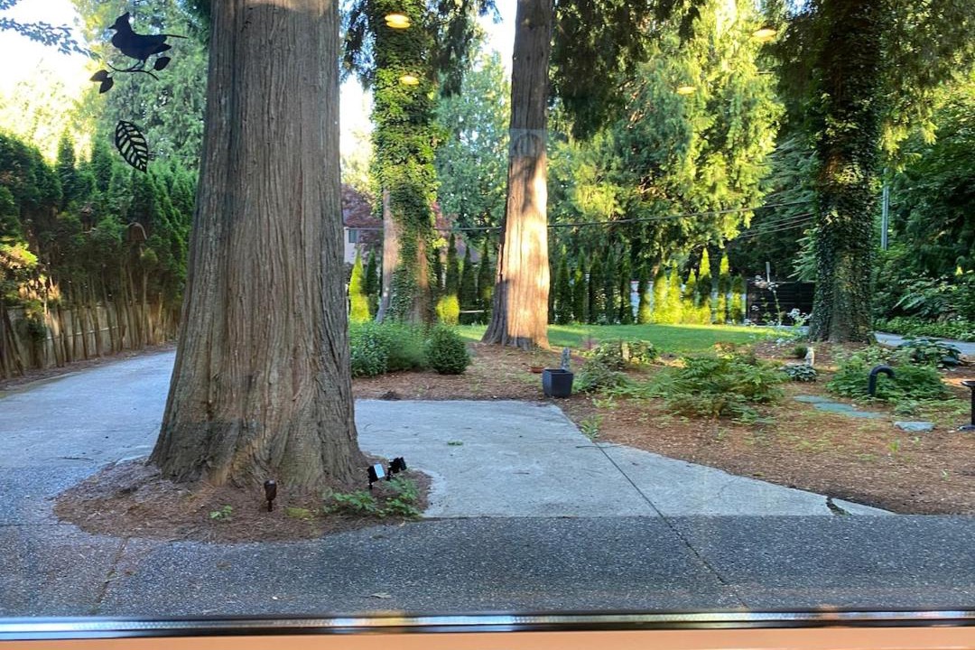 Photo of Others in Maple Ridge