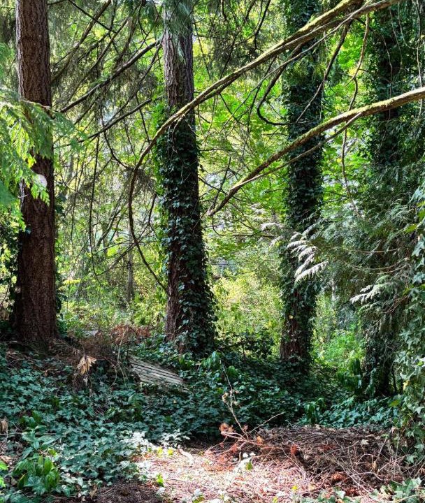 Photo of Others in North Cowichan