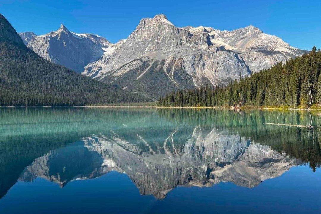 Photo of Others in Golden