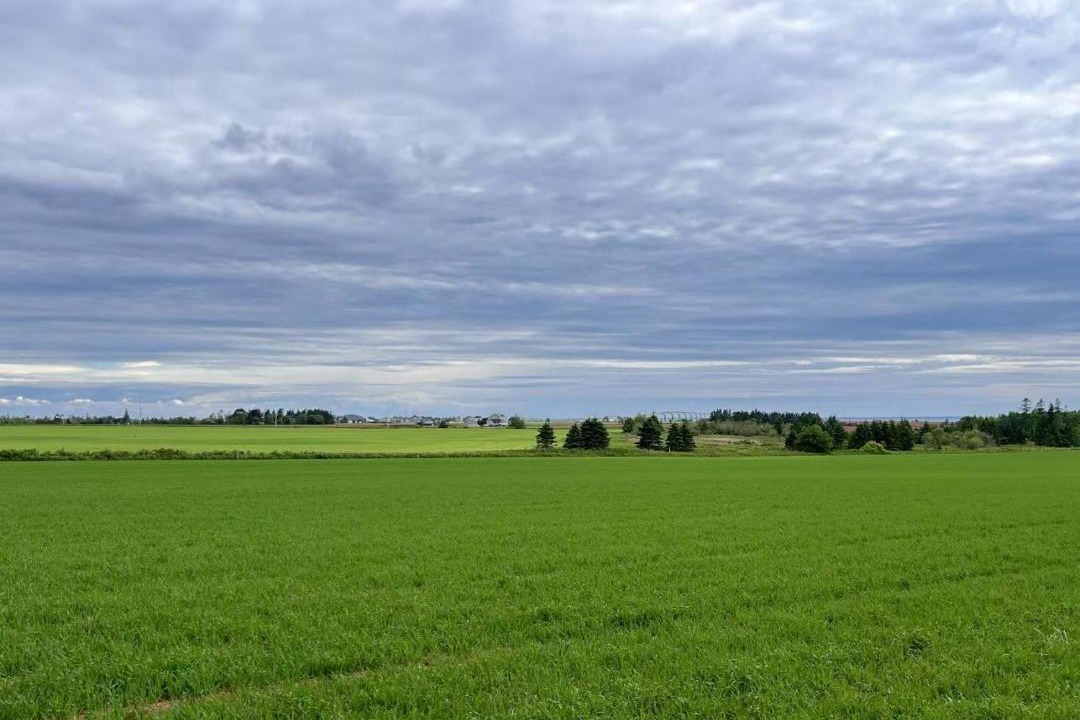 Photo of Others in Borden-Carleton