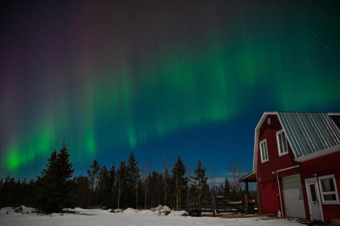 Photo of Others in Whitehorse