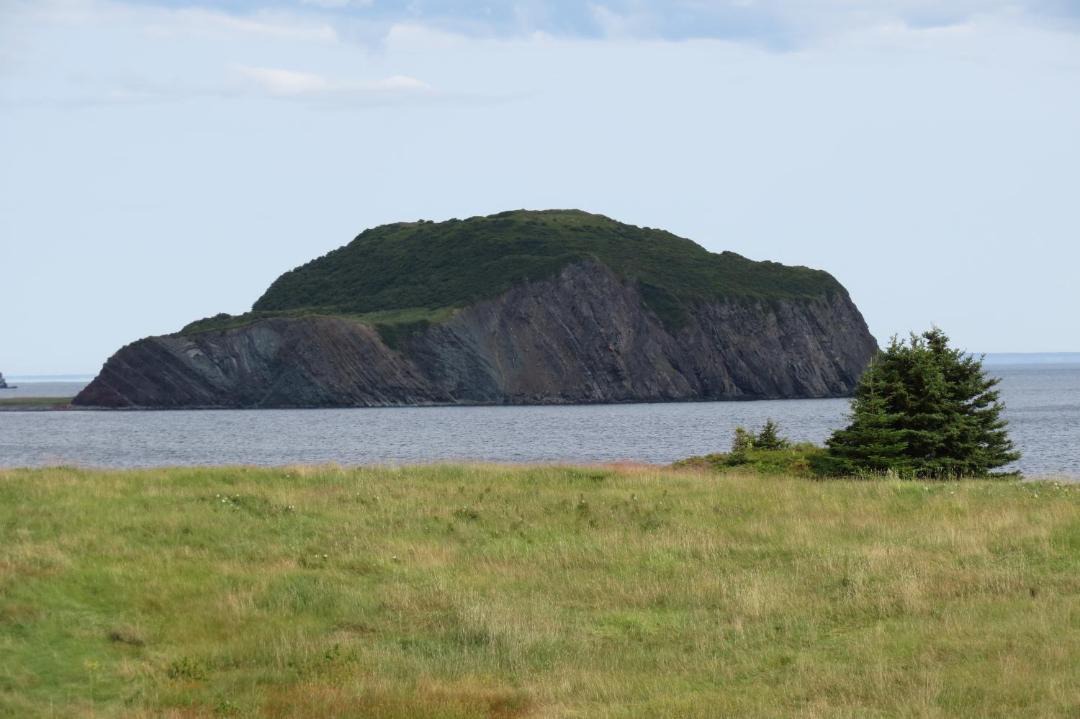 Photo of Others in Port Rexton