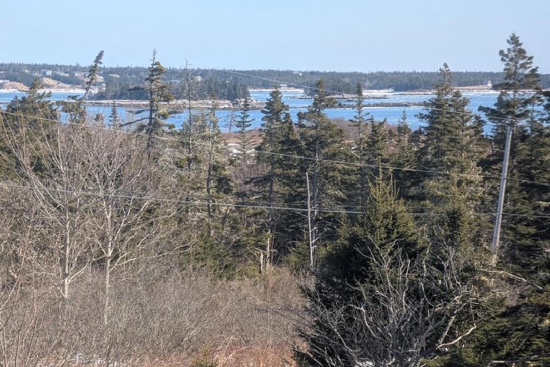 Photo of Others in Shag Harbour