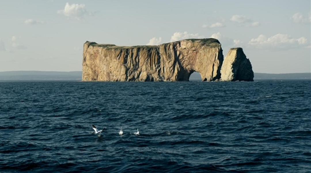 Photo of Others in Gaspe
