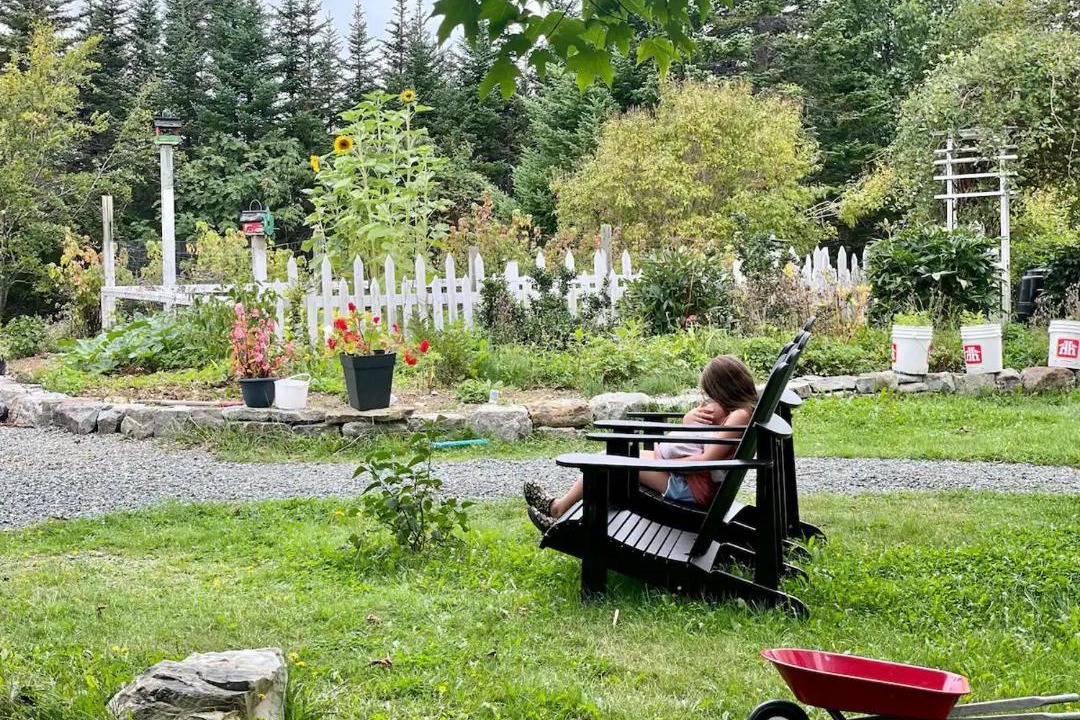 Photo of Others in Portugal Cove - St. Philips