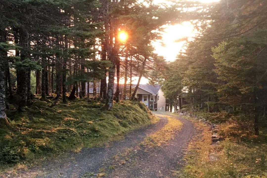 Photo of Others in Brigus Junction