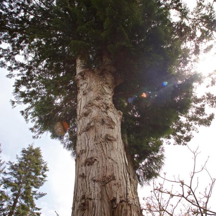Photo of Others in Halfmoon Bay