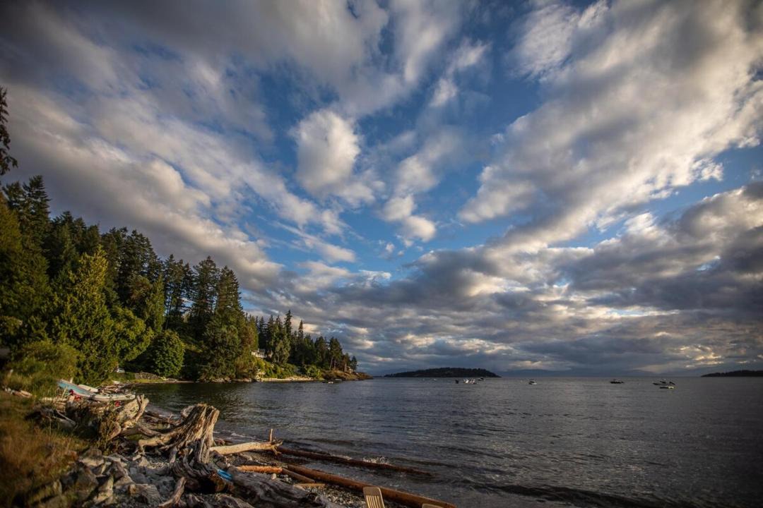 Photo of Others in Halfmoon Bay