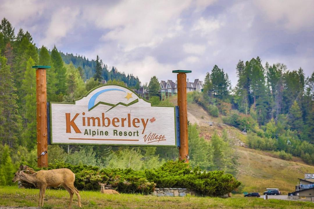 Photo of Others in East Kootenay