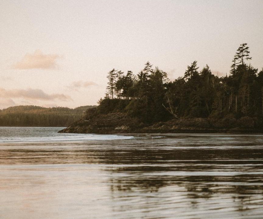 Photo of Others in Tofino