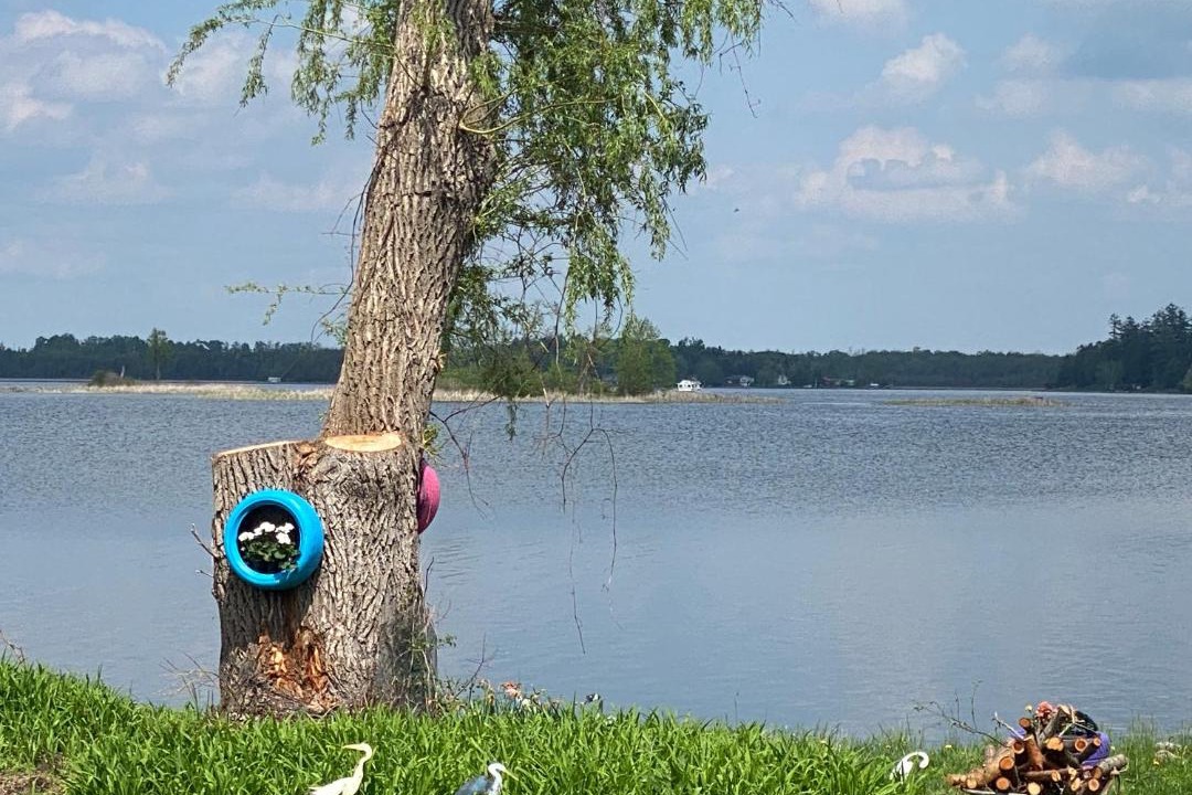 Photo of Others in Kawartha Lakes