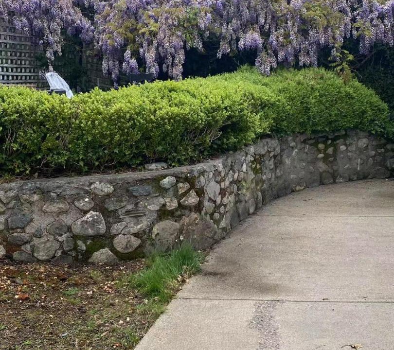 Photo of Outdoor in Dunbar