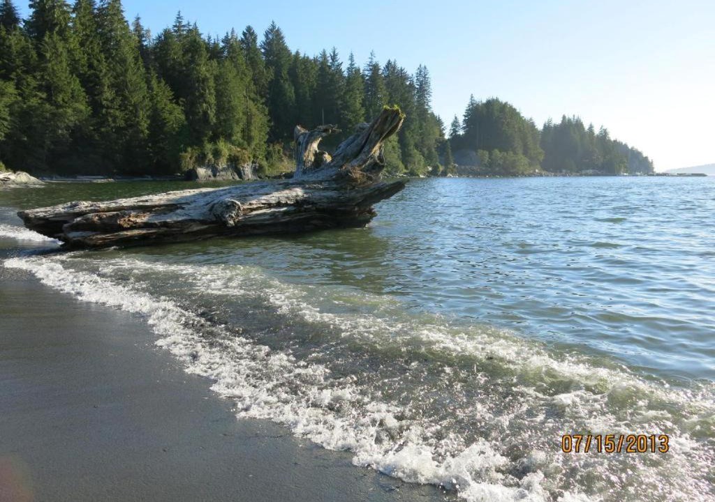 Photo of Others in Port Renfrew